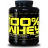 Best Nutrition 100% Whey Professional Protein 1000 g