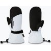 Dámske snowboardové rukavice Dakine Sequoia Gore-Tex Mitt ancient water