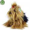 Rappa Plyšový pes Jorkšírský teriér sedící 23 cm ECO-FRIENDLY