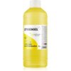 DYNAMAX Letná kvapalina do ostrekovačov citrón 1 l 500018