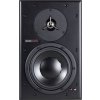 Dynaudio BM6A Mk III