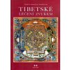 Tibetské léčení zvukem + CD - Rinpočhe Tenzin Wangyal