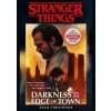 Stranger Things: Darkness on the Edge of Town : The Second Official Novel - autor neuvedený