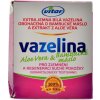 Vitar Vazelina Aloe vera + Bambucké máslo 110 g ODBĚRNÁ MÍSTA SK od 75.5e ZDARMA