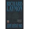 Jedné deštivé noci - Richard Laymond