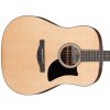 Ibanez AAD50