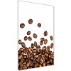 Vertikálny foto obraz sklenený Zrnká kávy 50x100 cm