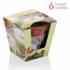 Bartek Candles Vonná sviečka Green Tea 115g