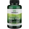 Swanson Full Spectrum Amla Fruit (Indian Gooseberry) 120 ks, kapsule, 500 mg