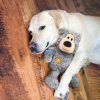 KONG Wild Knots Medveď M/L