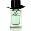 BURBERRY Mr. Burberry EdT 100 ml
