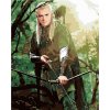 Zuty – Legolas v lese (Pán prsteňov), 40 × 50 cm, vypnuté plátno na rám 8596530238171