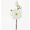 KONÁR MAGNÓLIA BIELA 36cm