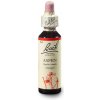 Bach Topol osika (Aspen) 20 ml