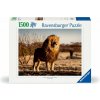 Puzzle Ravensburger 1500 dílků Lev, král zvířat