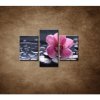 Ružová orchidea na kameni - 3dielny 90x60cm