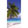 Samolepiace fototapety Dimex Pláž 95 x 210 cm D015 (Fototapeta na dvere)