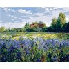 Maľovanie podľa čísel – Dom na vidieku, 50 × 40 cm, bez rámu a bez napnutia plátna 8596530000402