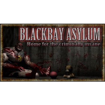 Blackbay Asylum