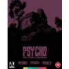Psycho: The Story Continues