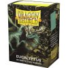 Arcane Tinmen Obaly Dragon Shield Standard size - Matte Dual Eucalyptus Lehel (100 sleeves)