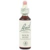 Rock Rose - Devätorník peniažtekový 20 ml - bachove kvapky