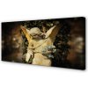 Obraz na plátne anjel 100x50 cm