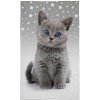 DETEXPOL Detský uterák Mačiatko grey - Bavlna - Froté - 50/30 cm