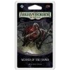 Fantasy Flight Games Arkham Horror LCG: Weaver of the Cosmos