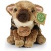 Rappa Plyšové mláďa diviaka sediace 20 cm ECO-FRIENDLY
