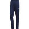 adidas Entrada 22 Training Pants modrá