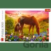 Trefl Puzzle 500 - Kone na lúke - Trefl
