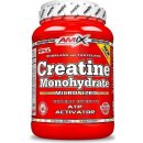 Kreatín Amix Creatine monohydrate 300 g