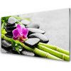 Obraz na skle Bambus kvet kamene umenie 100x50 cm