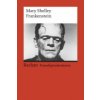 Frankenstein; or, The Modern Prometheus (Mary Wollstonecraft Shelley,Andreas Gaile)(Brožovaná)