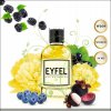 Eyfel W209 50ml parfumovaná voda