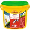Sera Koi Color Large 3.800 ml, granule - základní krmivo pro Koi