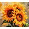 NORIMPEX Diamantové maľovanie Slnečnica 30 x 40 cm