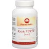 Pharma Activ Reishi FORTE 1000 90 kapsúl