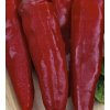 Paprika semená 0,5 g