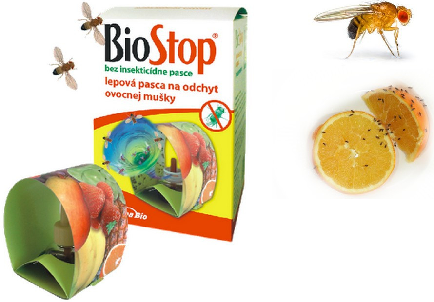 BioStop pasca na ovocné mušky octomilky KS -16011