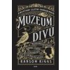 Sirotčinec slečny Peregrinové: Muzeum divů - Ransom Riggs