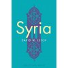 Syria (David W. Lesch)(Brožovaná)