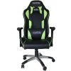 SPAWN CHAMPION SERIES GAMING CHAIR GREEN