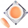 Farebný gél Artistic Molly Lac Art Peach č.8
