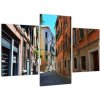Obraz mestské ulice (Obraz 90x60cm)