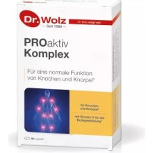 Dr. Wolz Gelenk Komplex PROaktiv Komplex 80 kapsúl