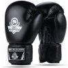 Boxerské rukavice DBX BUSHIDO ARB-Black