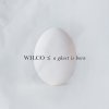 Wilco - A Ghost Is Born: 20th Anniversary (Limited Hardcover Book Box) 9CD
