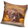 Carbotex · Vankúš s psíkom - motív Good Morning! - Dobré ráno! - 40 x 40 cm